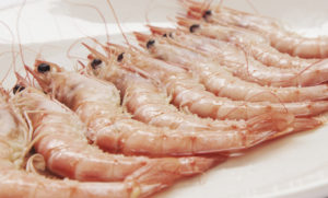 Gambas Barril Alcantara