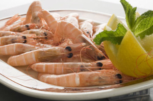 gambas cocidas de huelva _5